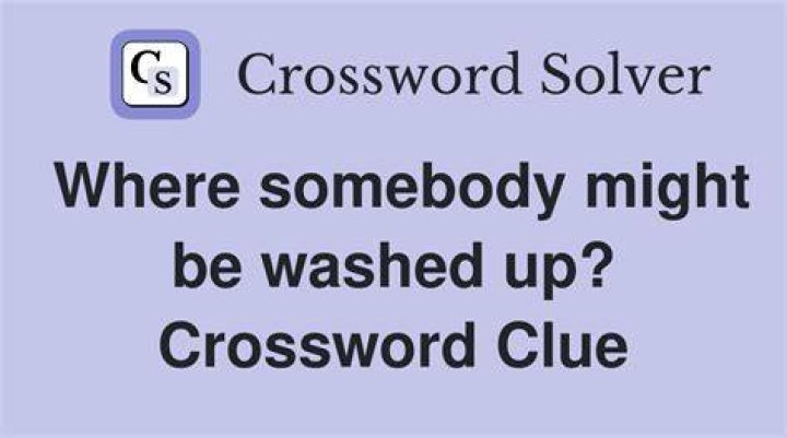 Washed quickly Crossword Clue