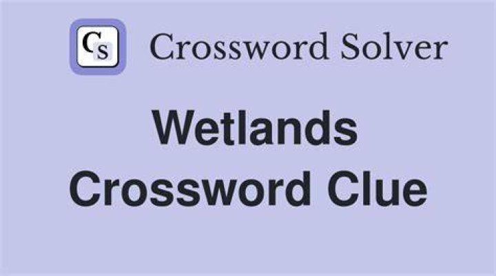 Wetlands feature Crossword Clue