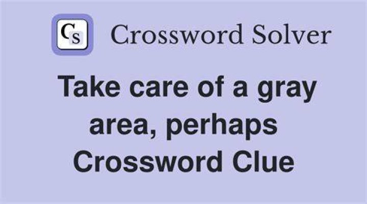 What might address a gray area Crossword Clue