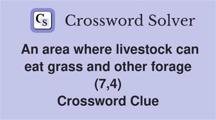 Where livestock eat Crossword Clue