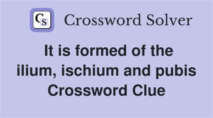 Where the ilium and ischium are Crossword Clue