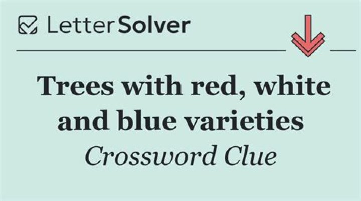 “White” or “red” trees Crossword Clue