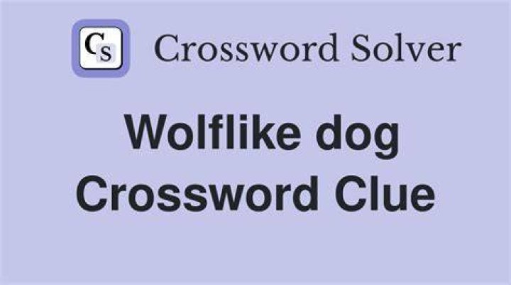 Wolflike Crossword Clue