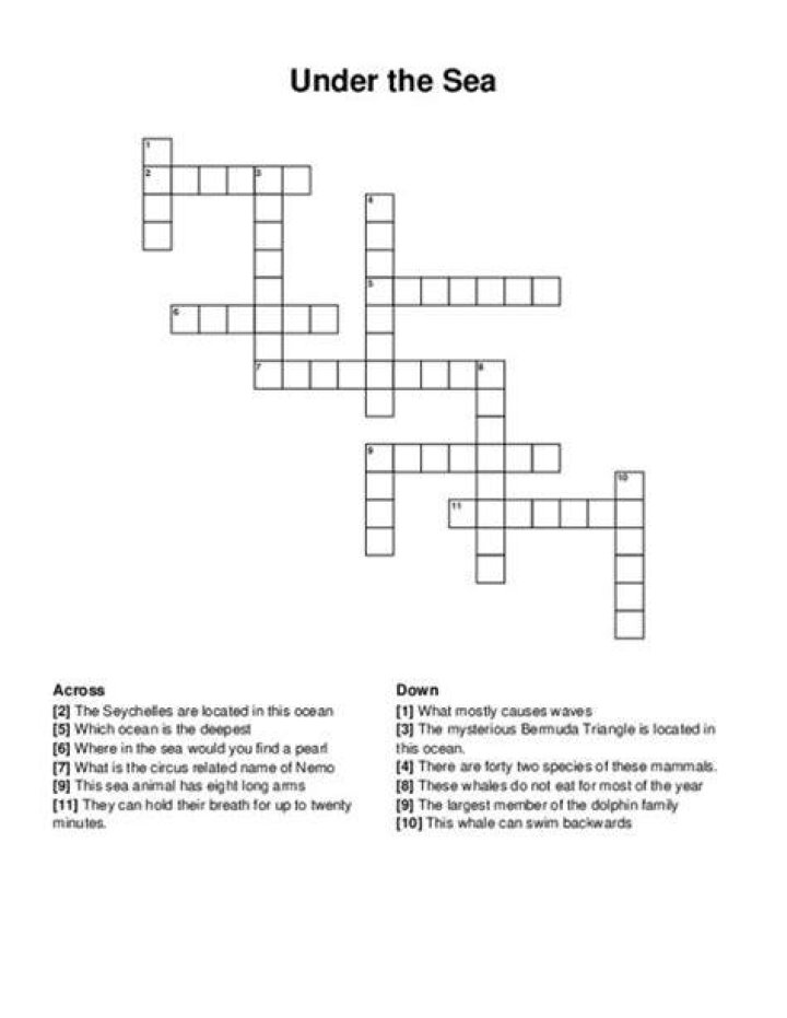 Word with spare or sea Crossword Clue